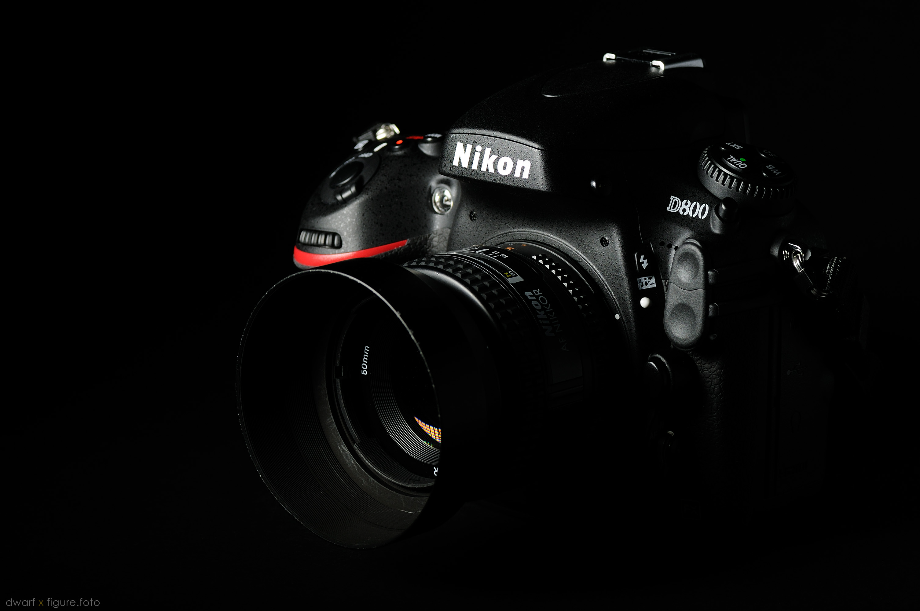 Nikon D800 - dwarf x figure.foto